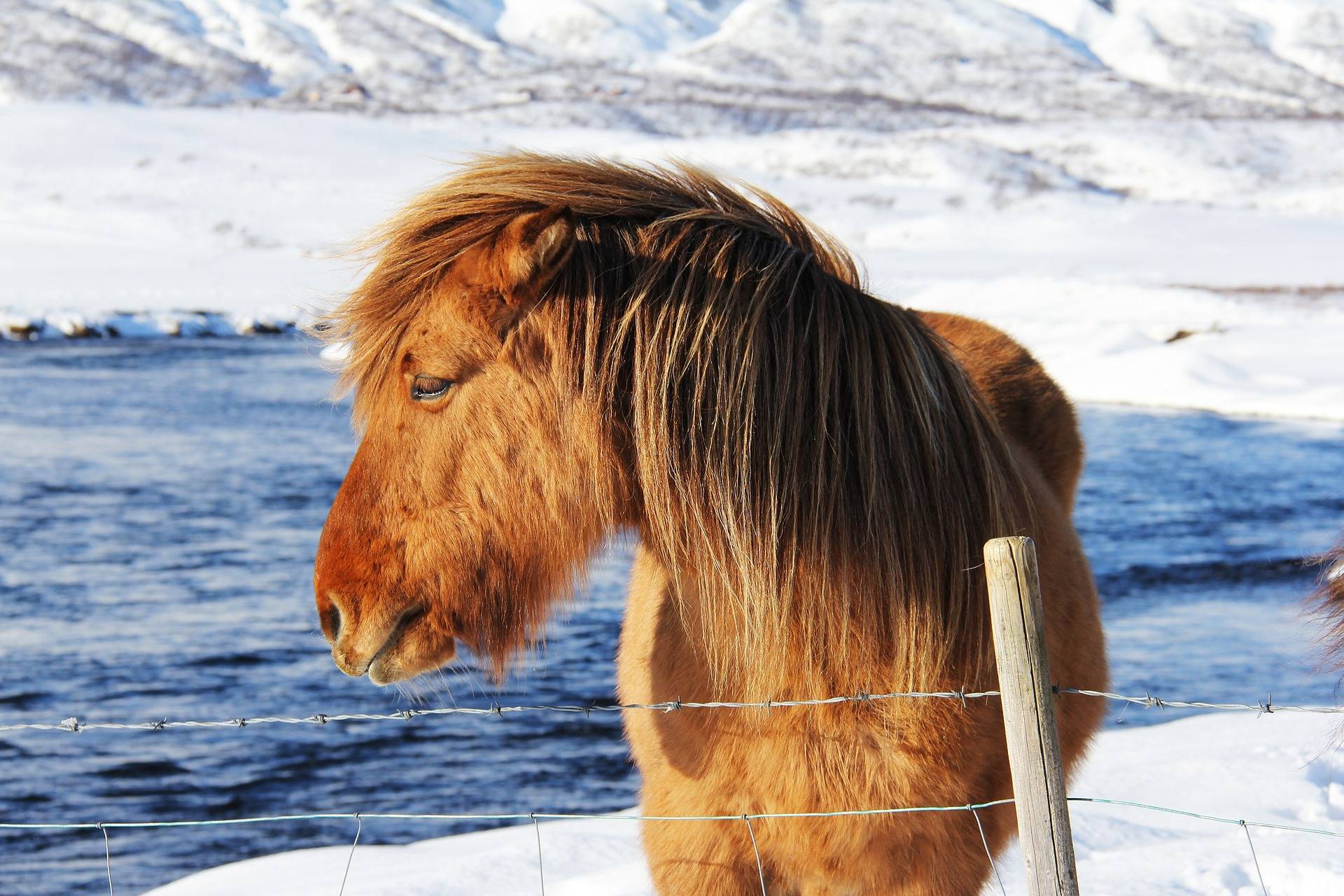 original pixabay reykjavik-schnee 7
