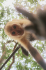 original IMG-20230523-WA0227
