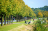 original pixabay buga original pixabay buga