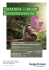 original Angebotsflyer RSB RundreiseCosta Rica R5R004 pdf - BM3