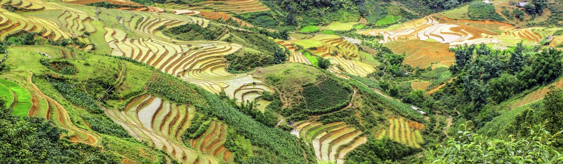 Vietnam_L-Sapa-Reisterrassen_3